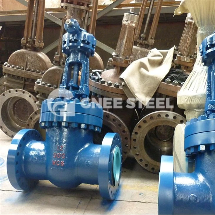 gate valve stainless