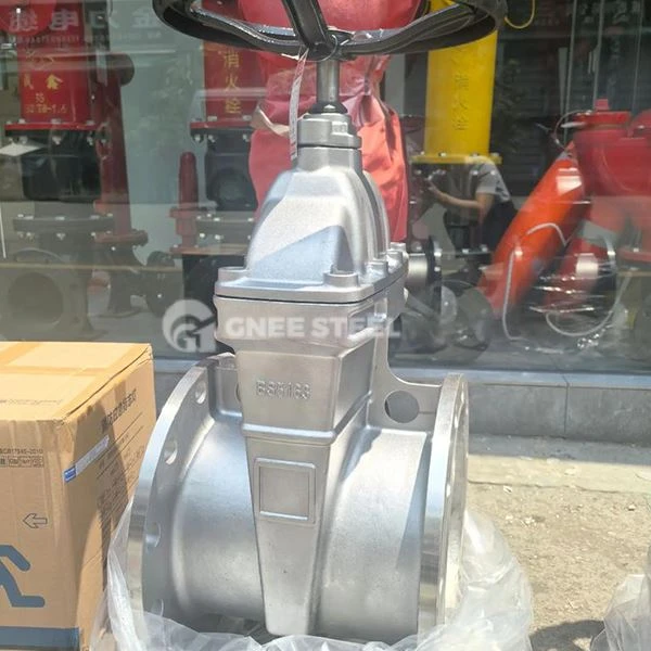 A351 CF8M Sürgülü Vana