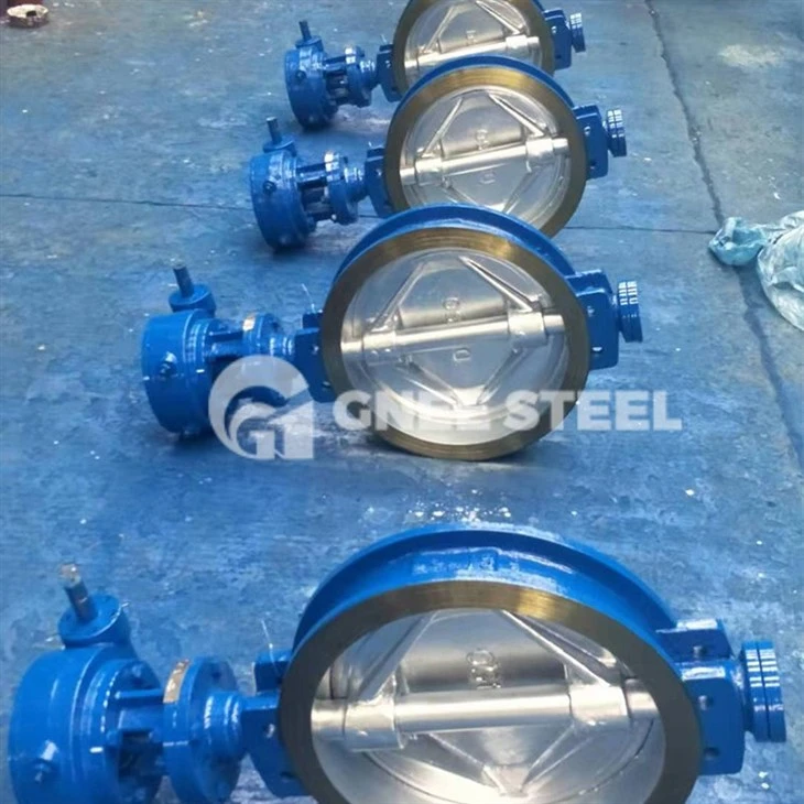 Concentric Butterfly Valve
