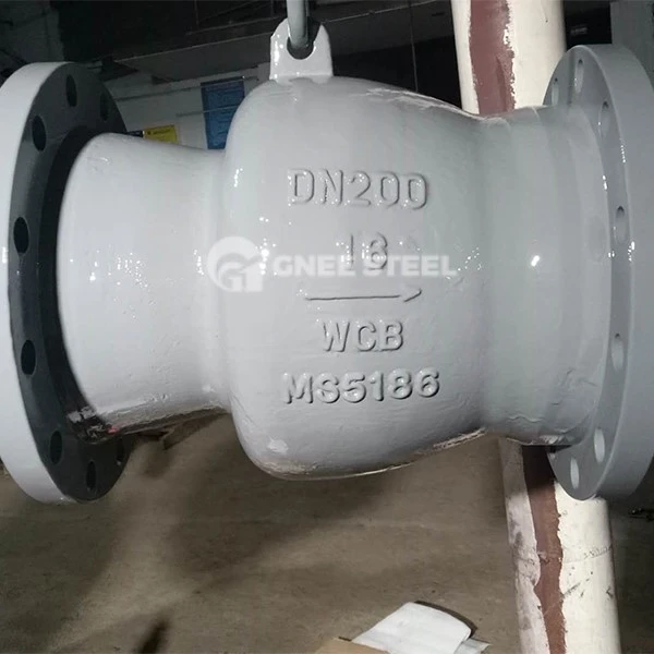 Axial Flow Check Valve Axial Flow Check Valve